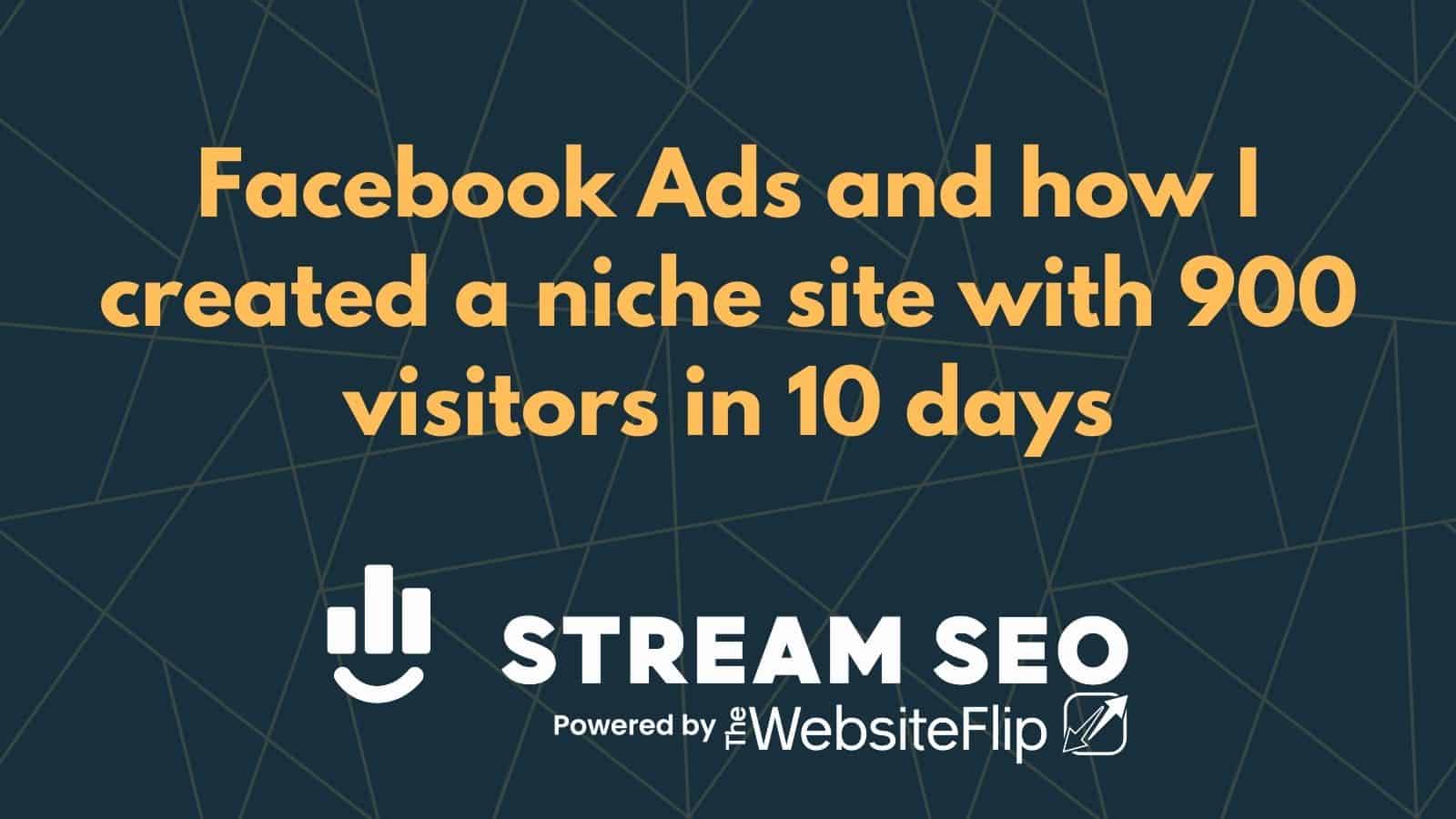Facebook Ads and how I created a niche site with 900 visitors in 10 days