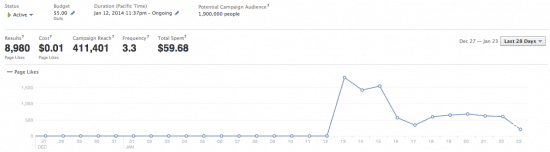 Facebook Ads niche site first campaign