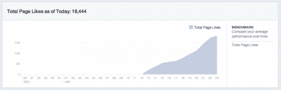 Facebook Ads niche site likes growth