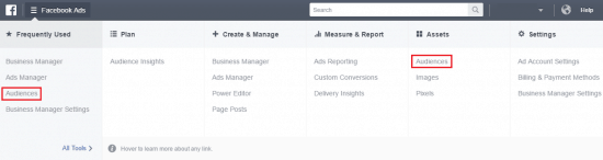 Facebook Custom Audience