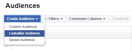 Facebook Cusotm Audience Lookalike Audience