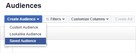 Facebook Custom Audience Saved Audience