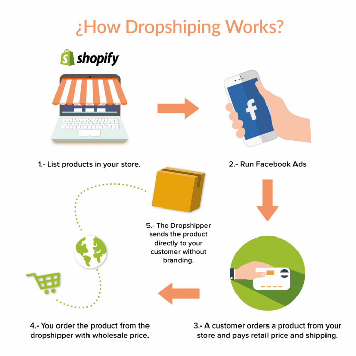 shopify empires the process behind 100000 per month ecommerce stores dropshipping model