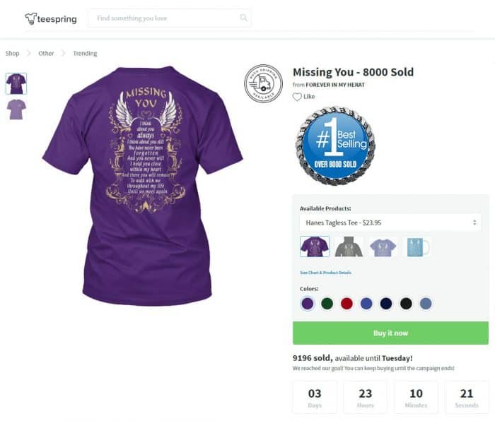 shopify empires the process behind 100000 per month ecommerce stores teespring tshirt campaign missing you angel