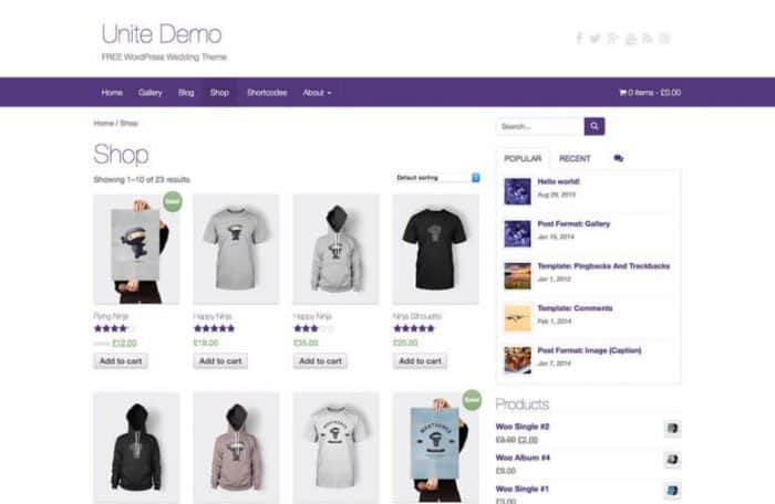 how to monetize a website - ecommerce store