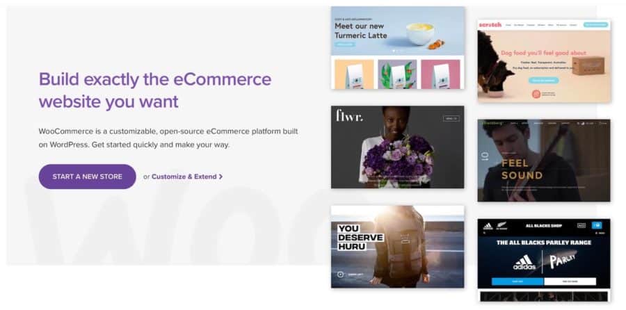 webflow vs wordpress - woocommerce