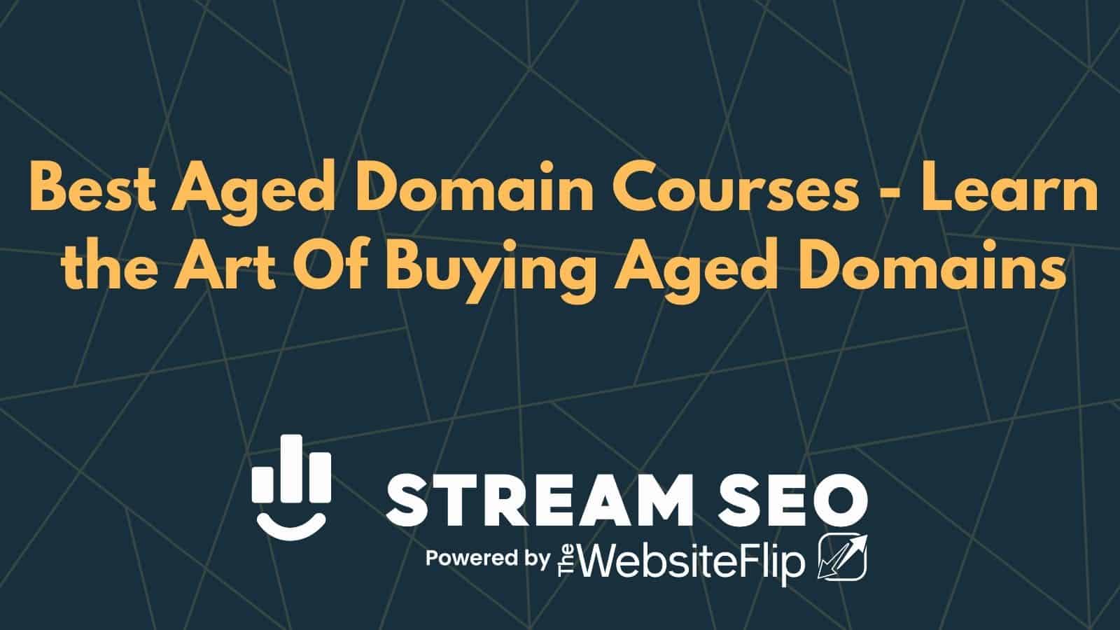 Best Aged Domain Courses